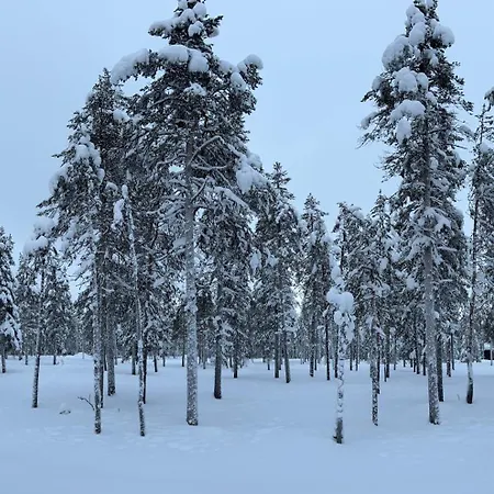 Villa Liemu, Winter Season Included 2 Lift Tickets